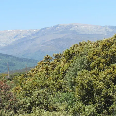 度假居 La Piedra Del Mediodia De Gredos *